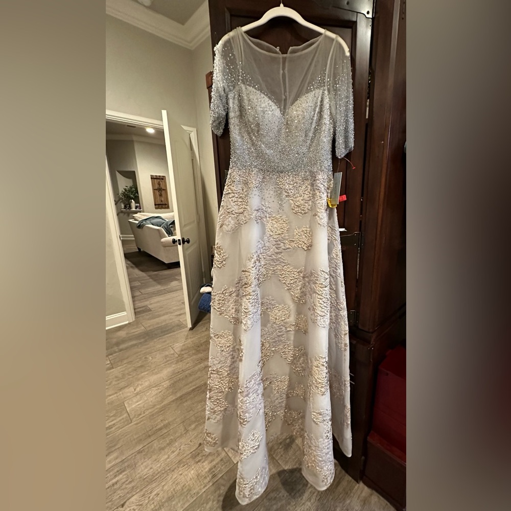 Beautiful NWT, Teri Jon dress